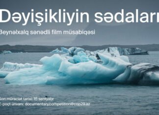 COP29 Azərbaycan Əməliyyat Şirkəti beynəlxalq sənədli film müsabiqəsi elan edir “Dəyişikliyin sədaları: Qlobal iqlim fəaliyyətinə baxış” adlı müsabiqə