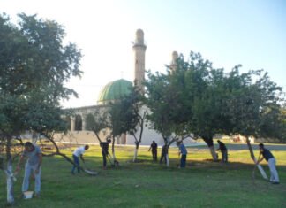 “Yaşıl gələcək naminə” aksiyası Lənkəranda davam etdirilib “Yaşıl gələcək naminə” aksiya