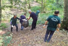 Meşə əraziləri növbəti dəfə tullantılardan təmizlənib Meşə əraziləri növbəti dəfə tullantılardan təmizlənib