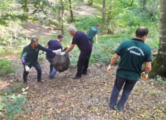 Meşə əraziləri növbəti dəfə tullantılardan təmizlənib Meşə əraziləri növbəti dəfə tullantılardan təmizlənib