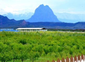 Muxtar respublikada bioloji müxtəlifliyin qorunması sahəsinə diqqət artırılır Naxçıvan Muxtar Respublikası