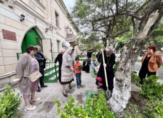 “Yaşıl gələcək naminə” aksiyası Sumqayıtda və Abşeronda davam etdirilib “Yaşıl gələcək naminə” aksiyası