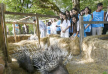 Şahdağ Milli Parkının İsmayıllı bölməsində nadir heyvanlar vəhşi təbiətə buraxılıb Şahdağ Milli Parkının İsmayıllı bölməsində nadir heyvanlar vəhşi təbiətə buraxılıb