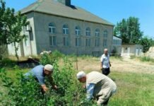 Dini ibadət yerlərində “Yaşıl gələcək naminə” aksiyası keçirilib “Yaşıl gələcək naminə” aksiyası