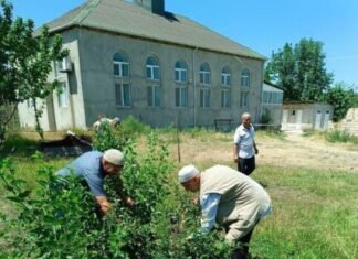 Dini ibadət yerlərində “Yaşıl gələcək naminə” aksiyası keçirilib “Yaşıl gələcək naminə” aksiyası