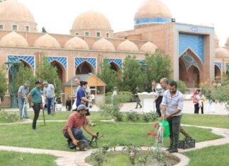 “Yaşıl gələcək naminə” aksiyası Gəncə-Daşkəsən bölgəsində davam etdirilib “Yaşıl gələcək naminə” aksiyası