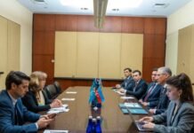 COP29 prezidenti biomüxtəliflik üzrə qarşıdakı sessiyanı Astrid Şomaker ilə müzakirə edib Ekologiya və təbii sərvətlər naziri, COP29-un prezidenti Muxtar Babayev və BMT-nin Biomüxtəliflik üzrə Konvensiyasının icraçı katibi Astrid Şomaker