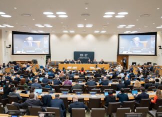 BMT-də COP “Troyka” prezidentliklərinin növbəti yüksək səviyyəli iclası keçirilib BMT-də COP “Troyka” prezidentliklərinin növbəti yüksək səviyyəli iclası keçirilib