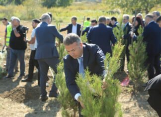 Gəncədə şəhidlərin xatirəsinə həsr olunan ağacəkmə aksiyası keçirilib Gəncədə şəhidlərin xatirəsinə həsr olunan ağacəkmə aksiyası