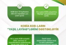 Sahibkarların “yaşıl layihə”ləri KOBİA tərəfindən dəstəklənir Sahibkarların "yaşıl layihə"ləri KOBİA tərəfindən dəstəklənir