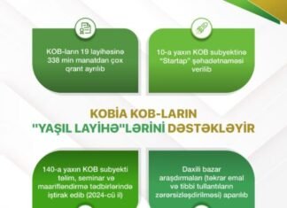 Sahibkarların “yaşıl layihə”ləri KOBİA tərəfindən dəstəklənir Sahibkarların "yaşıl layihə"ləri KOBİA tərəfindən dəstəklənir