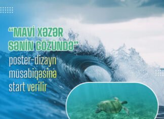 “Mavi Xəzər sənin gözündə” poster-dizayn müsabiqəsinə start verilir “Mavi Xəzər sənin gözündə” poster-dizayn müsabiqəsi