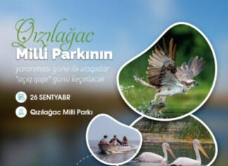 Qızılağac Milli Parkında “açıq qapı” günü keçiriləcək Qızılağac Milli Parkında “açıq qapı” günü