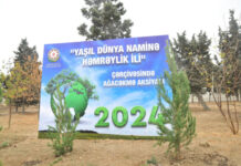 Abşeron rayonunda 16 mindən çox ağac əkiləcək ağacəkmə aksiyası