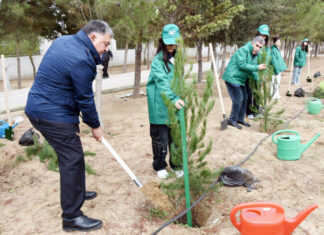 Şəhid övladlarının iştirakı ilə ağacəkmə aksiyası keçirilib Şəhid övladlarının iştirakı ilə ağacəkmə aksiyası
