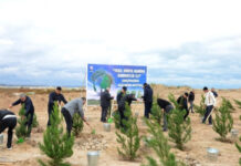 Paytaxtda növbəti ağacəkmə aksiyası keçirilib ağacəkmə aksiyası