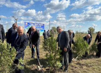 “Yaşıl dünya naminə həmrəylik ili”: Beyləqanda keçirilən aksiyada 3 min ağac əkilib Beyləqanda keçirilən aksiya