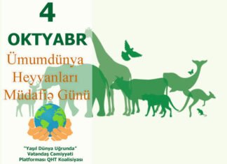 Respublikamızda heyvanların mühafizəsi üçün davamlı işlər görülür Ümumdünya Heyvanları Müdafiə Günü