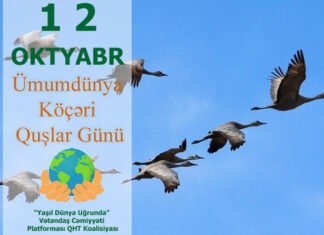 Ümumdünya Köçəri Quşlar Günü Ümumdünya Köçəri Quşlar Günü