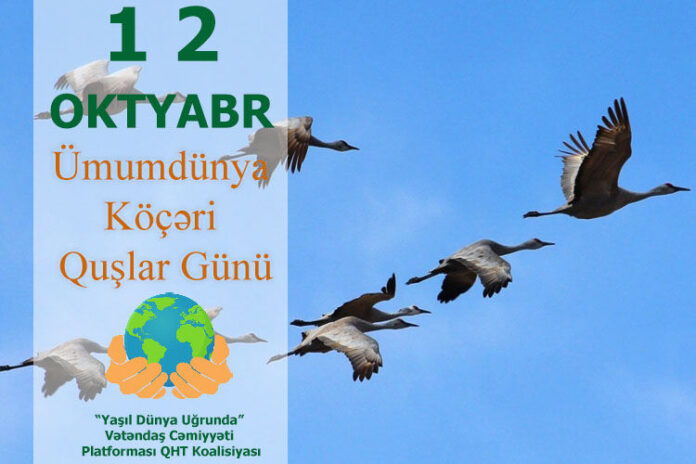 Ümumdünya Köçəri Quşlar Günü