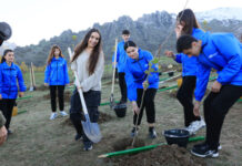 Heydər Əliyev Fondunun vitse-prezidenti Leyla Əliyeva Lerikdə ağacəkmə aksiyasında iştirak edib Heydər Əliyev Fondunun vitse-prezidenti Leyla Əliyeva