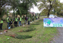 Oğuzda 10 mindən çox ağac əkiləcək Oğuz rayonunda ağacəkmə aksiyaları