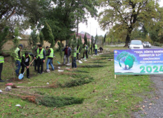 Oğuzda 10 mindən çox ağac əkiləcək Oğuz rayonunda ağacəkmə aksiyaları