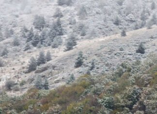 Gədəbəyə qarın hündürlüyü 20 sm-i keçib, avtomobil yolları buz bağlayıb qar