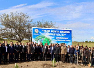 Samuxda 12 minədək ağac əkiləcək ağacəkmə aksiyaları