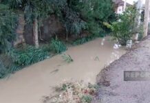 Hacıqabulda leysan nəticəsində 300-dən çox ev su içində qalıb subasma