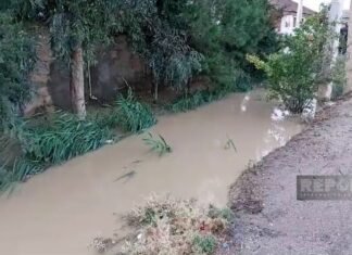 Hacıqabulda leysan nəticəsində 300-dən çox ev su içində qalıb subasma