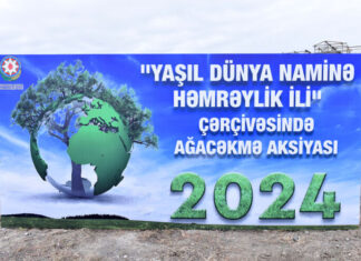 Sumqayıtda noyabrın əvvəlinədək 300 min ağac əkiləcək Sumqayıt