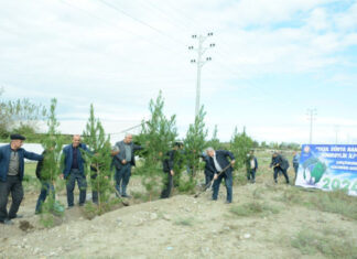 “Yaşıl dünya naminə həmrəylik ili”: Tərtərdə 11 min ədəd ağac əkiləcək Tərtər rayonunda növbəti ağacəkmə aksiyası