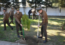 FHN-in regional mərkəzlərində ağacəkmə aksiyaları keçirilib ağacəkmə aksiyası