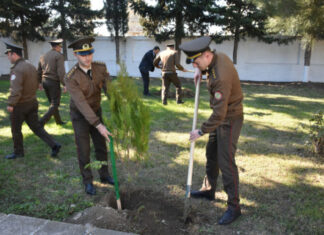FHN-in regional mərkəzlərində ağacəkmə aksiyaları keçirilib ağacəkmə aksiyası