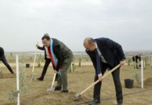 Azərbaycanda Türk Dövlətləri Milli Ağaclandırma Günü münasibətilə 111 min 111 ağac əkilib Türk Dövlətləri Milli Ağaclandırma Günü