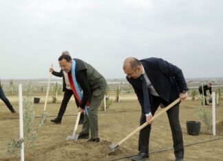 Azərbaycanda Türk Dövlətləri Milli Ağaclandırma Günü münasibətilə 111 min 111 ağac əkilib Türk Dövlətləri Milli Ağaclandırma Günü