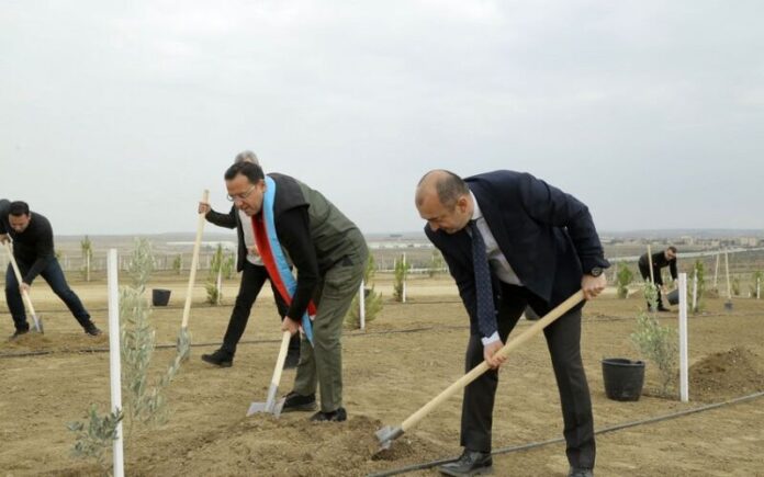 Türk Dövlətləri Milli Ağaclandırma Günü