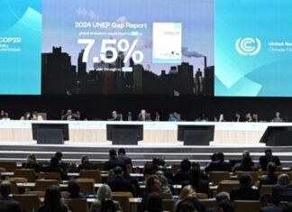 COP29 Liderlər Sammiti açılış mərasimindən sonra işini birinci plenar iclasla davam etdirib COP29 Liderlər Sammiti açılış mərasimindən sonra işini birinci plenar iclasla davam etdirib