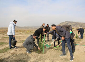 Mədəniyyət Nazirliyi Qobustan qoruğunda yaşıllaşdırma aksiyası keçirib Qobustan qoruğunda yaşıllaşdırma aksiyası