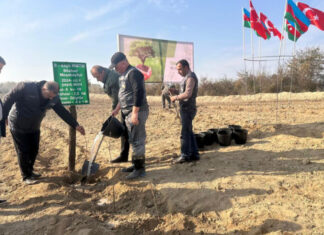 Zaqatalada 8750 ting əkilib Zaqatala rayonunda “Gələcəyə nəfəs” adı altında ağacəkmə aksiyası