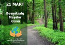 Bu gün Beynəlxalq Meşələr Günüdür Beynəlxalq Meşələr Günü