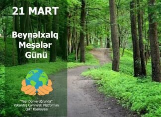 Bu gün Beynəlxalq Meşələr Günüdür Beynəlxalq Meşələr Günü