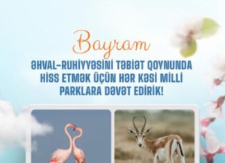 Bayram günlərində hər kəsi milli parklarımıza dəvət edirik! milli park