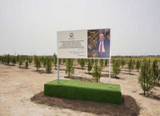 Ümummilli Lider Heydər Əliyevin doğum günü münasibətilə ağacəkmə tədbiri keçirilib Ümummilli Lider Heydər Əliyevin doğum günü münasibətilə ağacəkmə tədbiri