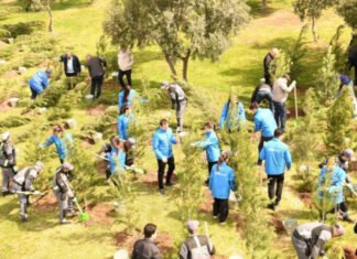 Paytaxtda keçirilən növbəti ağacəkmə aksiyasında 500 ağac əkilib Paytaxtda keçirilən növbəti ağacəkmə aksiyası