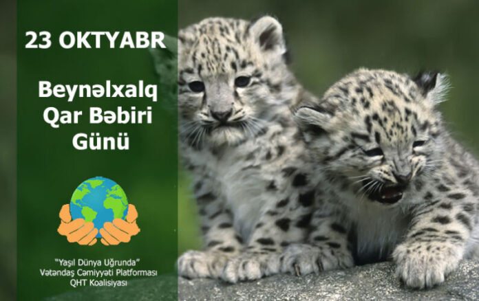 Beynəlxalq Qar Bəbiri Günü Beynəlxalq Qar Bəbiri Günü