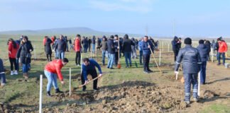 Ağacəkmə aksiyası keçirilib Ağacəkmə aksiyası