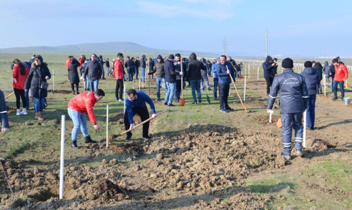 Ağacəkmə aksiyası