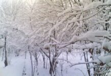 Ordubadın dağlıq ərazilərində qarın hündürlüyü 29 sm-ə çatıb Ordubad